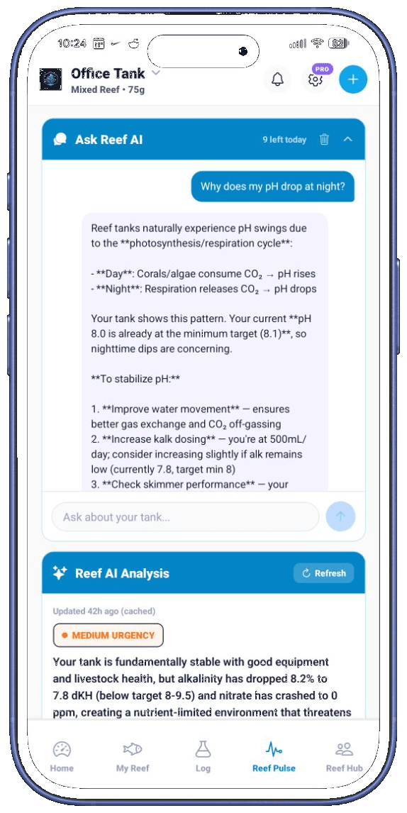 NextUpReef community feed showing established reef with high scores