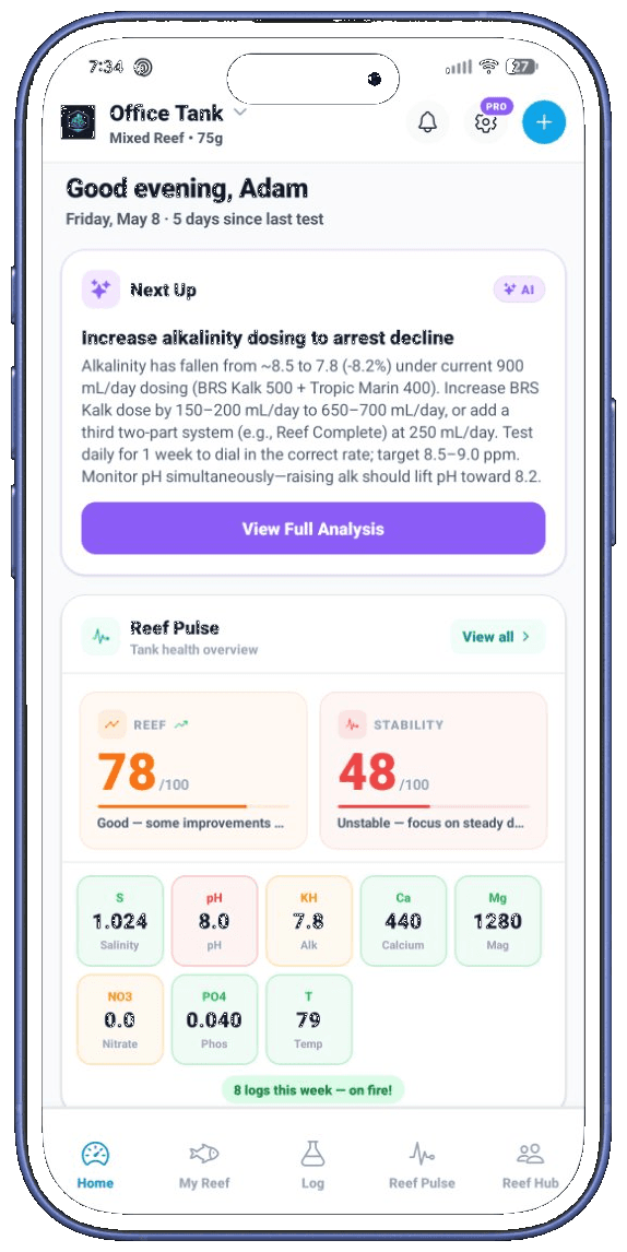 NextUpReef dashboard showing established reef with high stability score