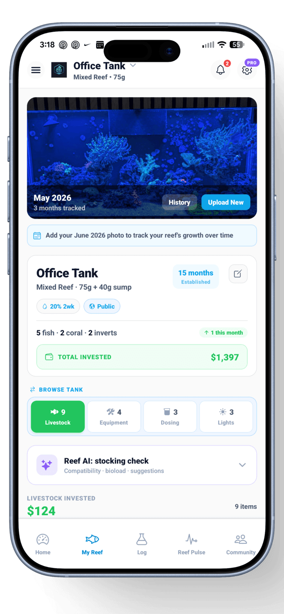 NextUpReef My Reef page showing livestock, equipment, dosing, and total tank investment